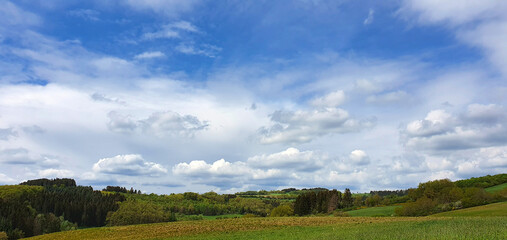 Wall Mural - green meadow under blue sky with white clouds