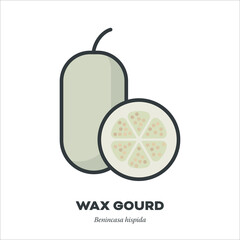 Wall Mural - Wax Gourd or Winter Melon vegetable vector filled line icon