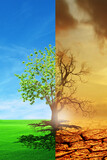 Fototapeta  - Climate change from drought to green growth. climate change withered earth. Global warming concept.A comparative picture of a dead tree and a tree as a concept of global environmental change.