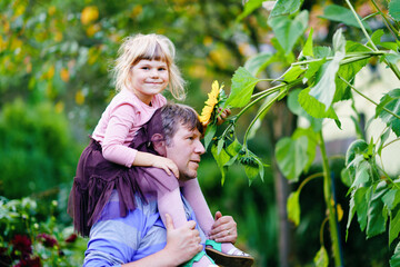 Wall Mural - Little preschool girl sitting on shoulder of father with huge sunflower in domestic garden. Happy family, child and dad, middle-aged man cultivating flowers. Kids and ecology, environment concept.