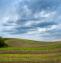 Wall Mural - colored lines and hills of spring fields under a beautiful sky with contrasting clouds. The concept of agriculture in the spring