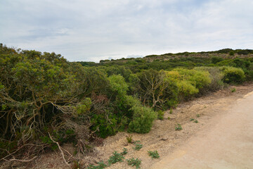 parco archologico di selinute in sicilia