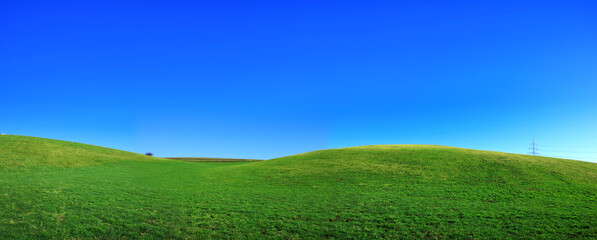Wall Mural - spring landscape background with blue sky and green grass field.