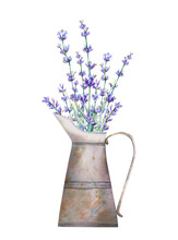 Watercolor Iron Jag With Lavender Flowers Bouquet. Vintage Object, Vase, With Rust. Botanical Illustration With Violet And Purple Flower In Vase