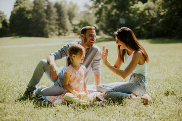 Wall Mural - Happy young family with cute little daughter having fun in the park on a sunny day