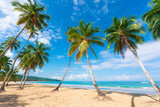 Fototapeta  - Palm summer Dominican beach. Calm turquoise sea waves. Green palm trees against a cloudy blue sky. Blue lagoon off the tropical coast. A beautiful sea voyage.