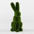 Beautiful Bunny shaped topiaries on white. Landscape gardening