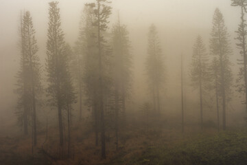 Naklejka na meble Panoramic nature landscape from Iao valley in wahiee forest on Maui island, Hawai.