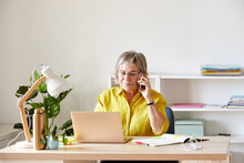 Mature Teleworker In Home Office