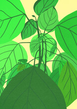 Digital Painting Of A Plant With Green Leaves
