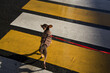 © Irina Ozhigova/Stocksy - Toy terrier dog crossing road in city