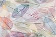 © Yaroslav Danylchenko/Stocksy - Seamless pattern of veined transparent leaves