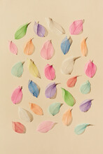 Colorful Transparent Leaves On Beige Background