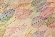 Seamless Pattern Of Transparent Colorful Leaves