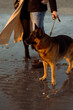 © Mauro Grigollo/Stocksy - A couple walks the dog at the beach