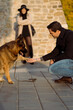 © Mauro Grigollo/Stocksy - Dog gives paw