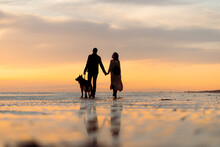 Lovers Walk The Dog On The Seaside
