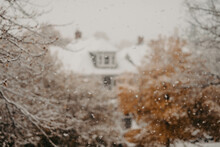 A Snowy Suburban Neighborhood