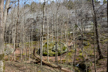 Stream In Forest With Rocks And Trees, Garden Of The Gods, Shawnee National Forest