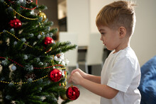Boy Decorates Christmas Tree 
