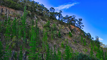 Trees Growing Up From The Cliff Face At Eildon In Victoria Australia