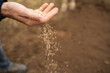 © Alba Vitta/Stocksy - Man sowing seeds in field