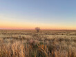 © Rialto Images/Stocksy - West Texas meadow at dusk