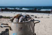 Pot With Seashells On Seashore
