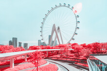 Infrared Photography Of Plants With Ferris Wheel By Sea