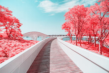 Infrared Photography Of Plank Road