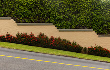 Background Of Hedge Wall Landscaping 