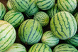 Pile of fresh watermelons