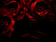 Beautiful abstract color black and red flowers on black background, light pink flower frame, pink leaves texture, dark background, Christmas and valentines day celebration, love theme, red texture 
