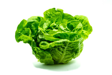 Wall Mural - Green lettuce isolated on white background