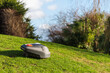 autonomiczna kosiarka jeżdżąca po trawniku, zielony trawnik