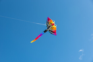 Wall Mural - colorful kites flying over the sky