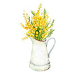A bouquet of Mimosa in a white jug. Painted in watercolor. Spring yellow flowers. Easter flowers.