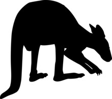 Black Isolated Silhouette Of A Male Kangaroo