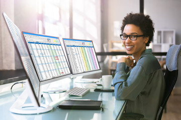 Poster - Professional Accountant Using Computer Screen
