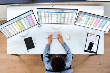 Poster - African American Data Analyst Lady