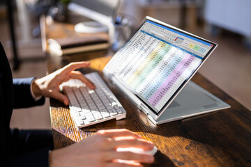 Poster - Electronic Spreadsheet Analyst Or Auditor Using Software