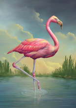 Pink Flamingo At Sunset