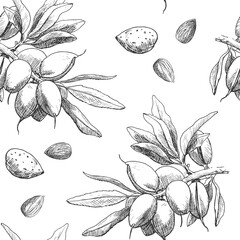 Wall Mural - Vector seamless pattern branch almond, black and white elements. Hand drawn sketch.Graphic illustration for design packaging, textile, wallpaper, fabric