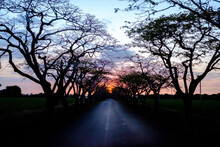 Sunset Road Medine Mauritius