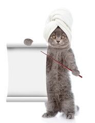 Aufkleber - Cute tiny kitten with towel on it head points on empty list. isolated on white background