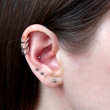 Fototapeta Dmuchawce - ear piercings photos.Helix piercing.Ear rings