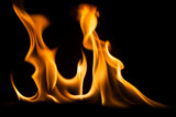 Fototapeta Tęcza - Fire flames on black background.