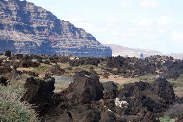 Canvas Print - Spain. Volcanic landscape of Lanzarote