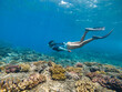Underwater photography of a woman snorkeling above a coral reef, Reunion Island, Indian ocean, France.