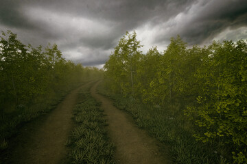 Wall Mural - Dirt road with tire tracks in a misty forest with birches under a cloudy sky. 3D render.